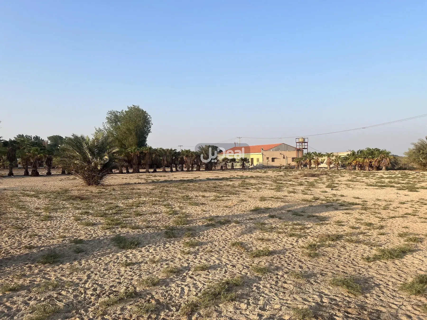 مزرعة للبيع
