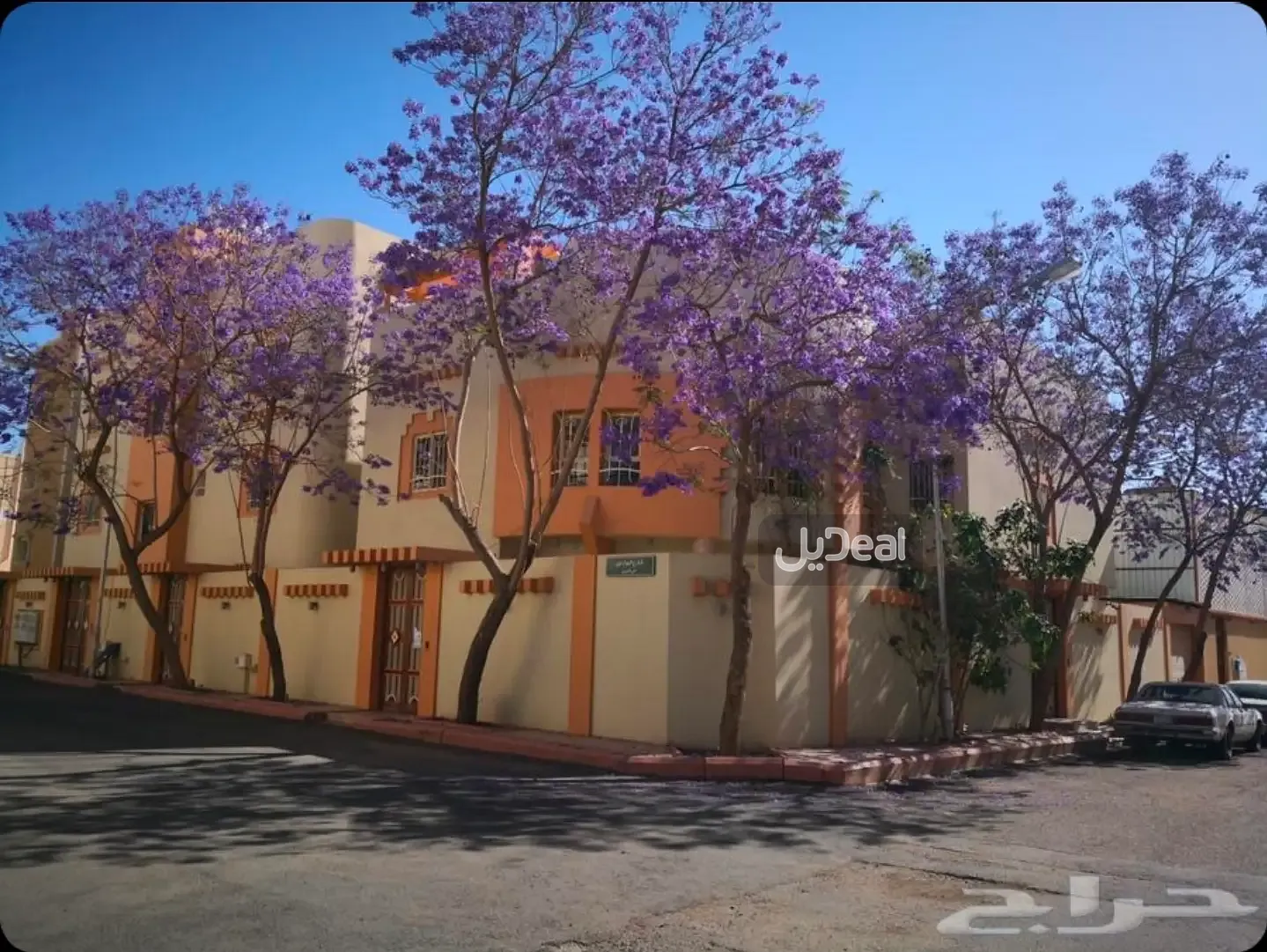 صورة الإعلان