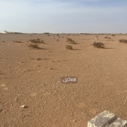 ارض للبيع