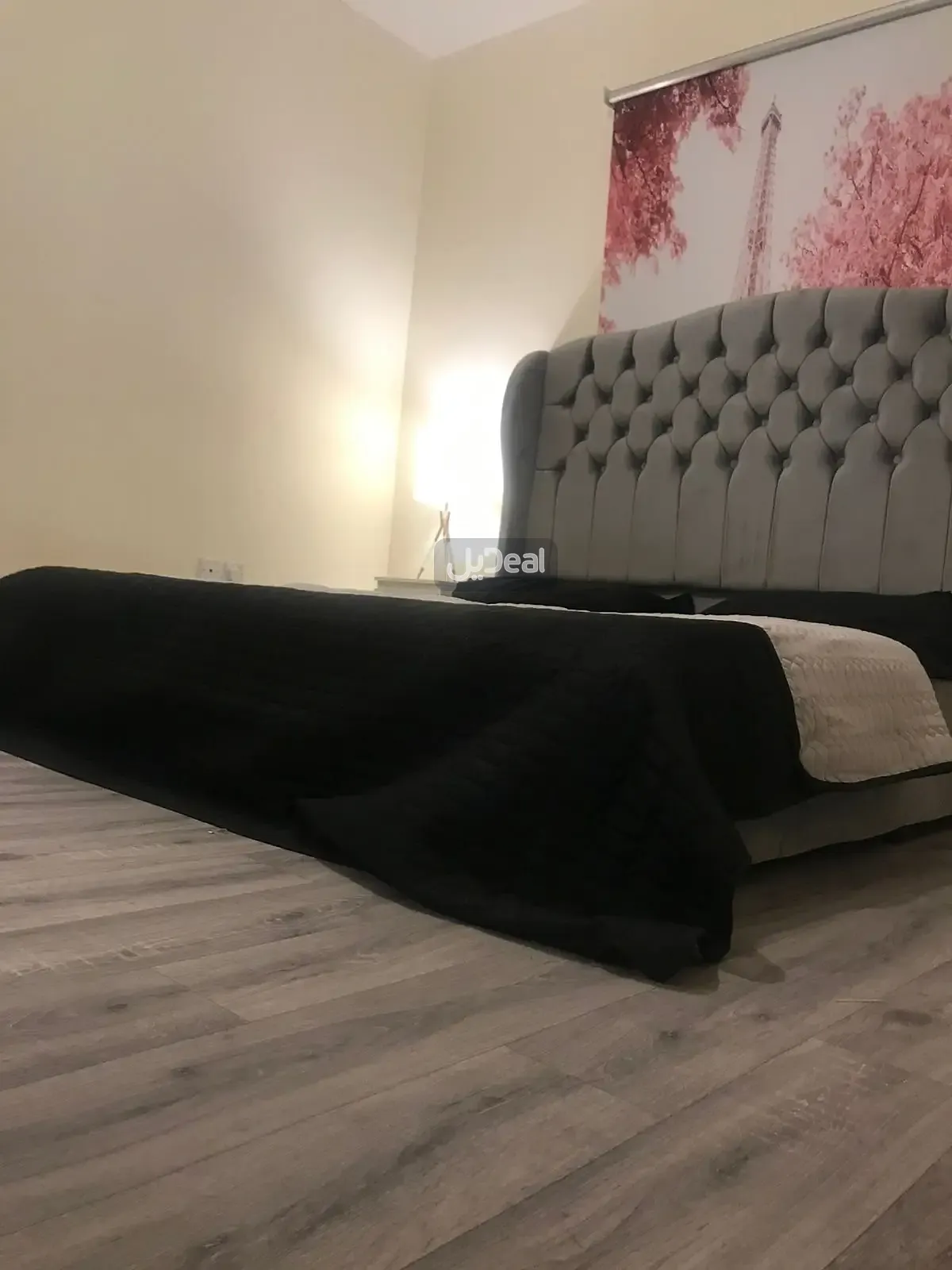 شقة للإيجار