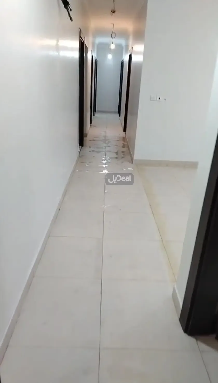 شقة للإيجار