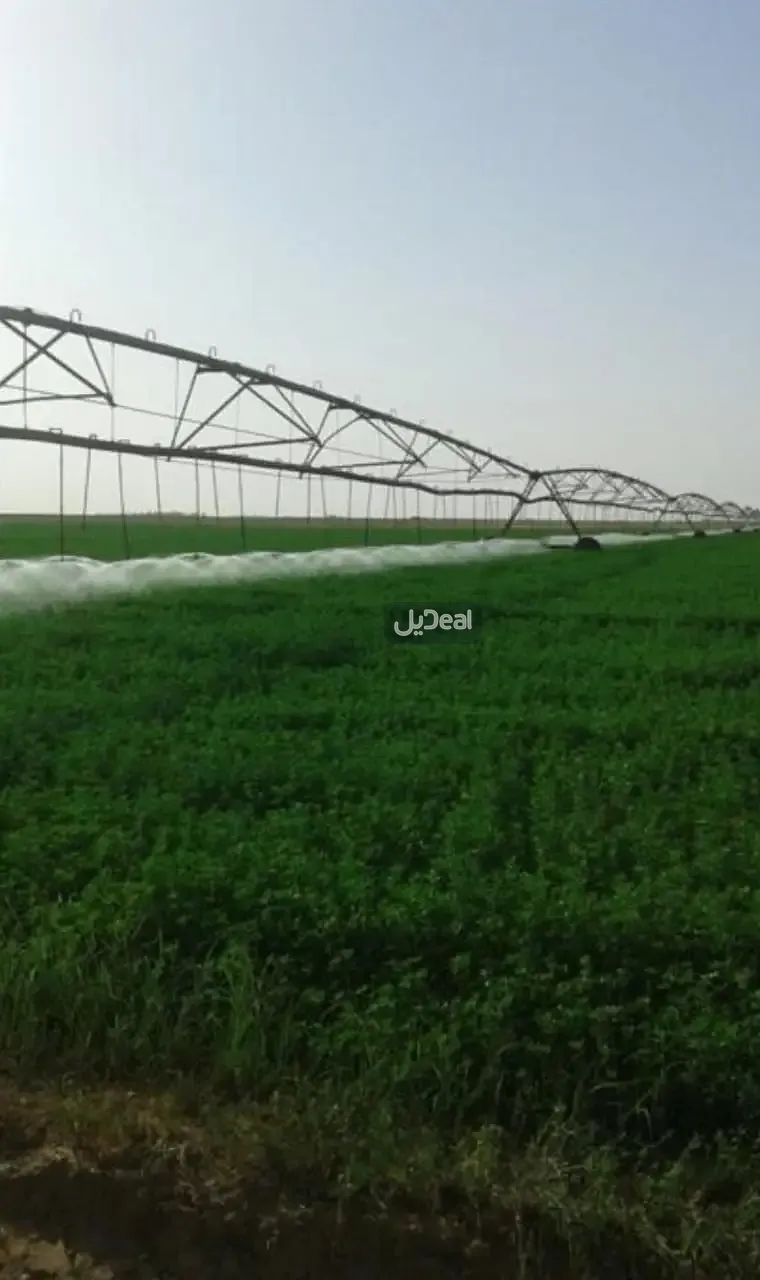 مزرعة للإيجار