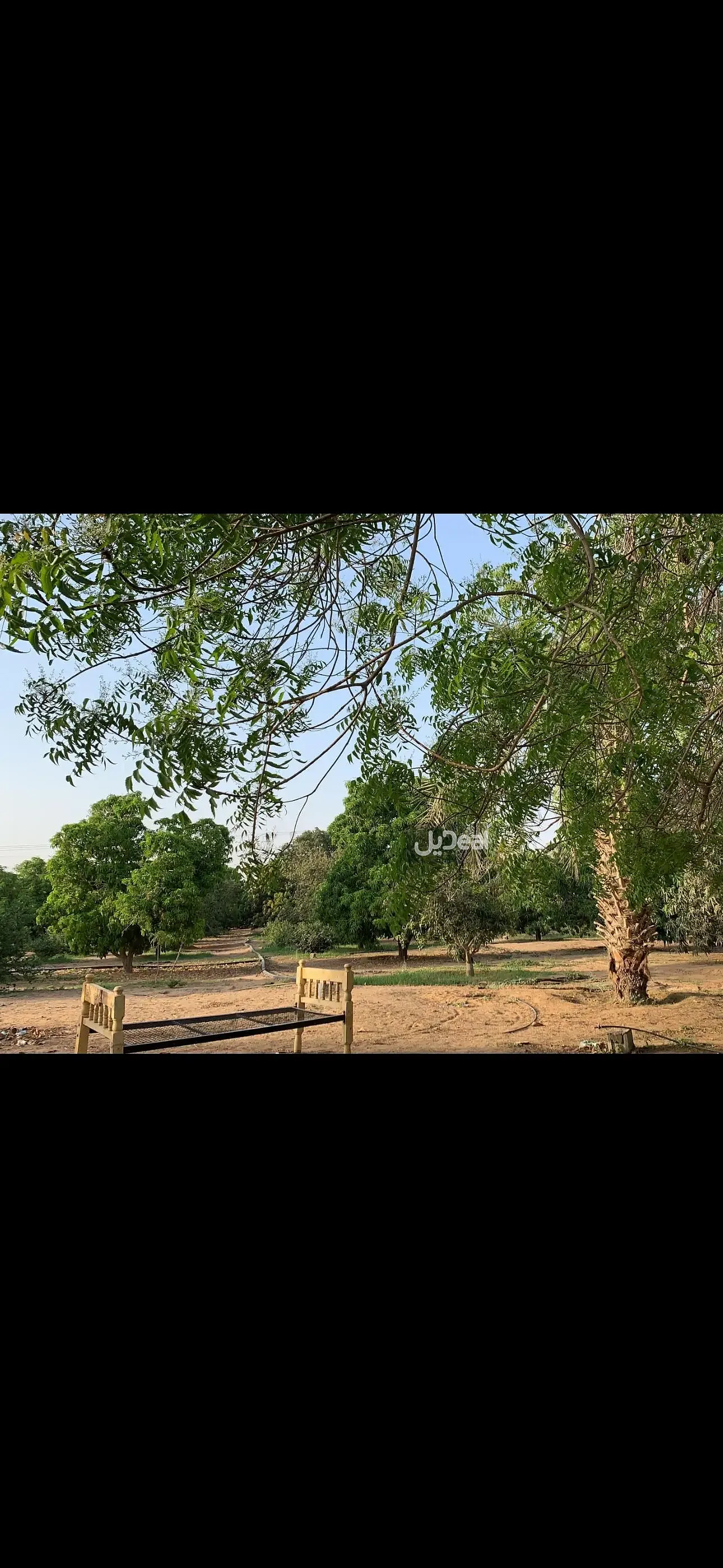 مزرعة للبيع