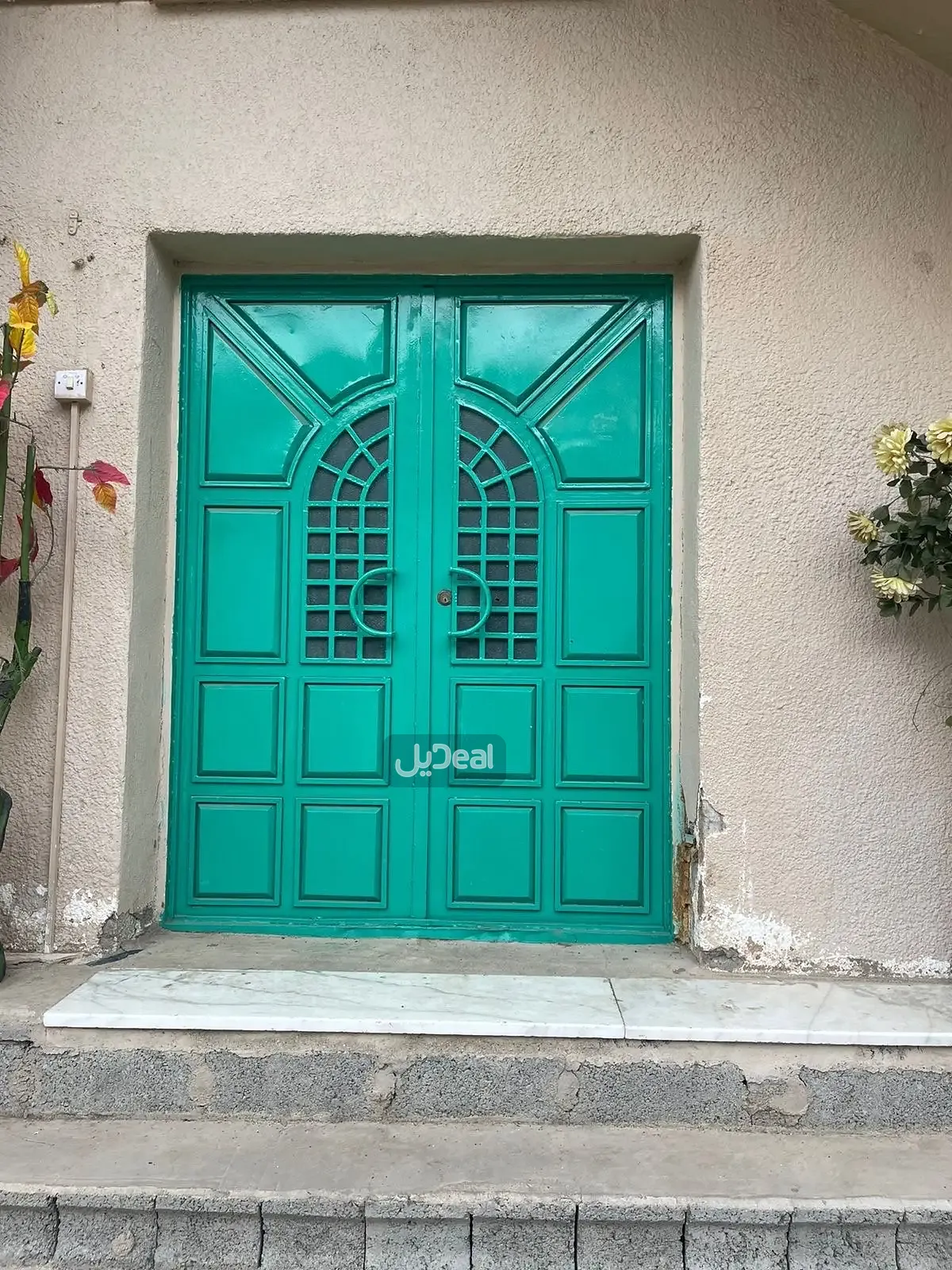 شقة للإيجار