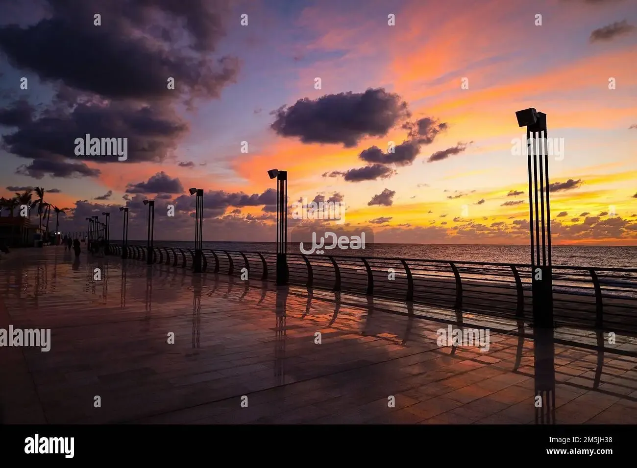 صورة الإعلان