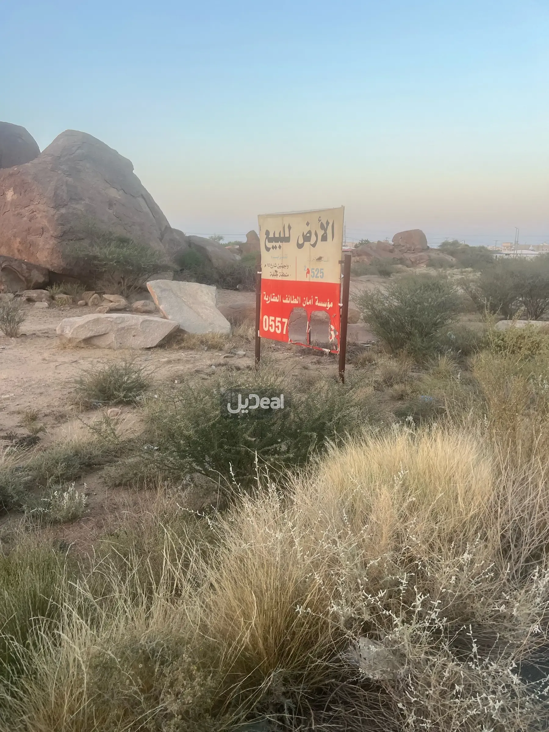 ارض للبيع