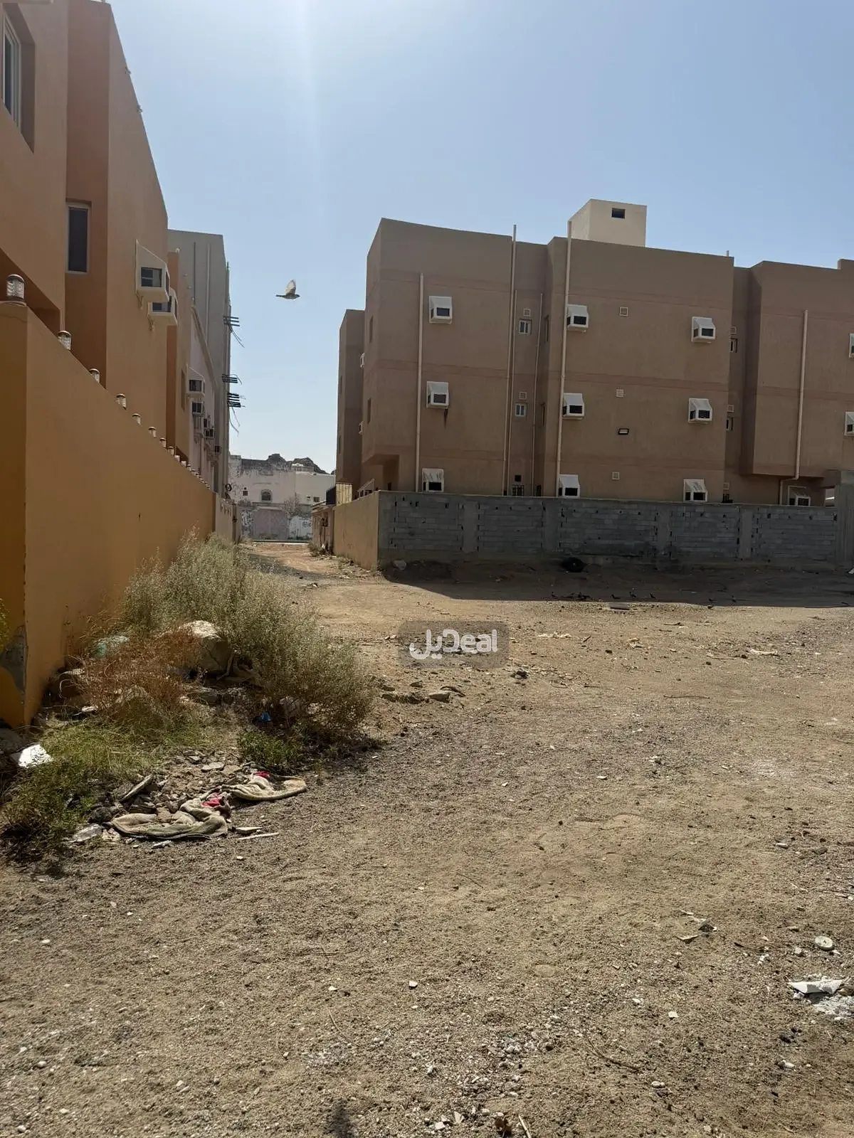 Image 15