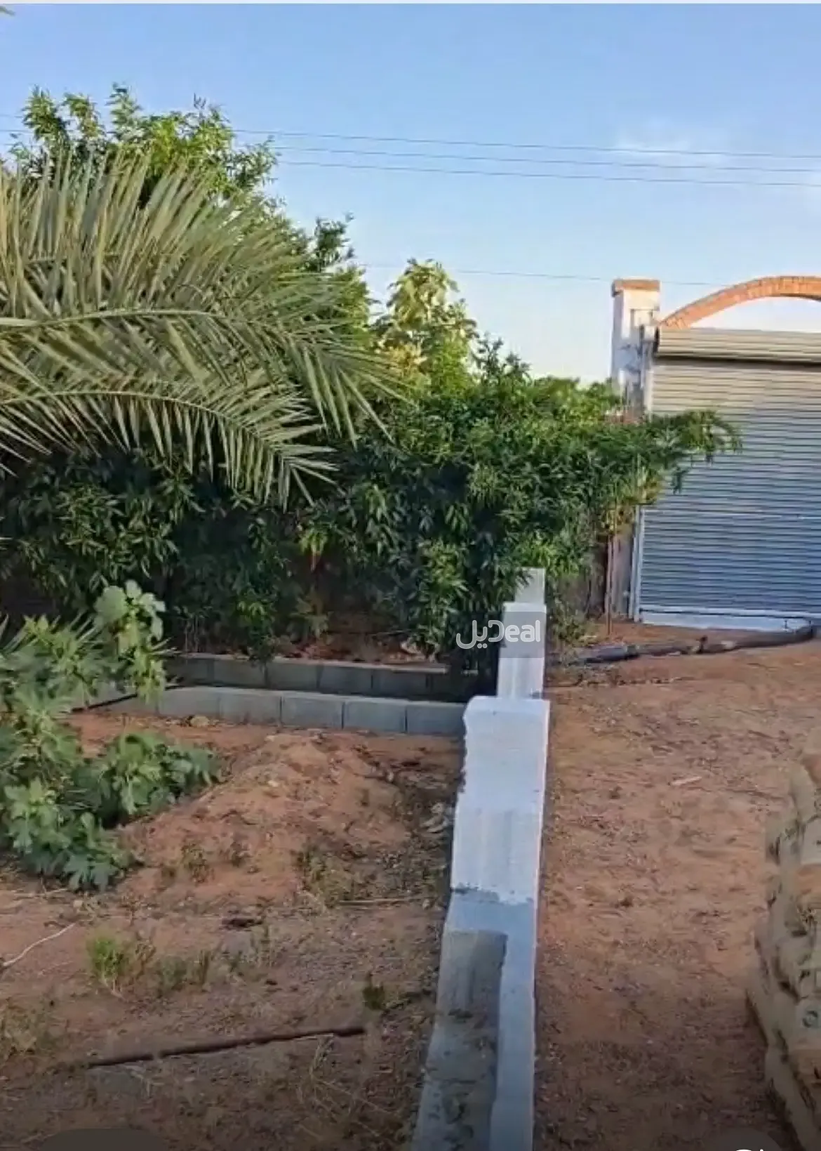 Image 6