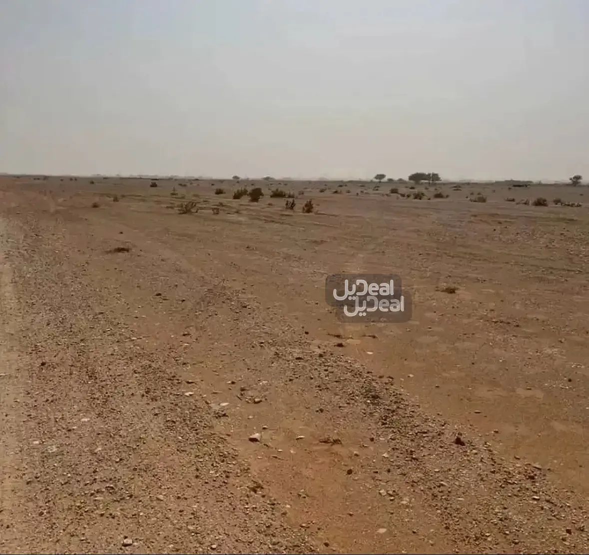 صورة الإعلان