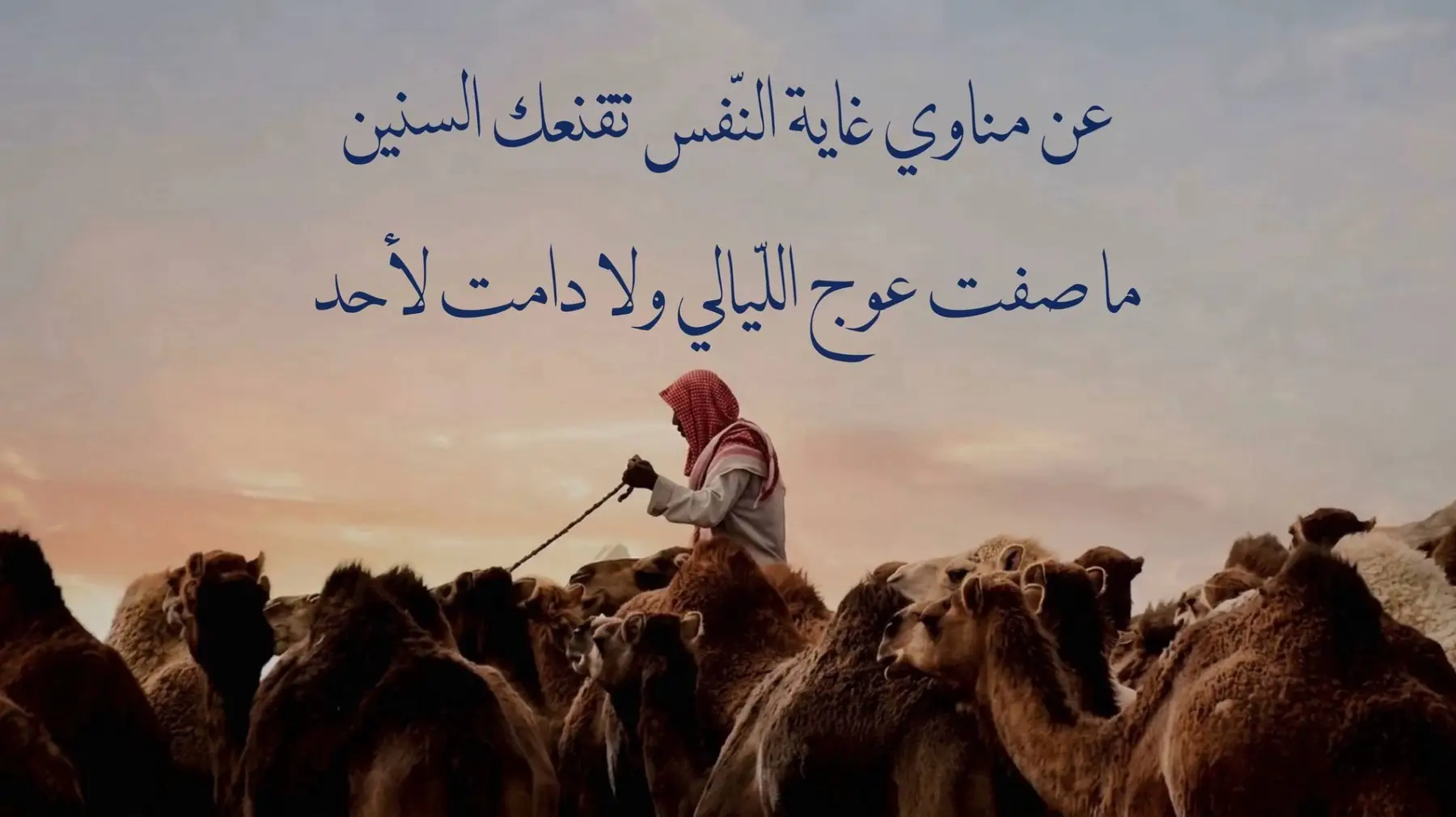 الوسيط العقاري : رائد