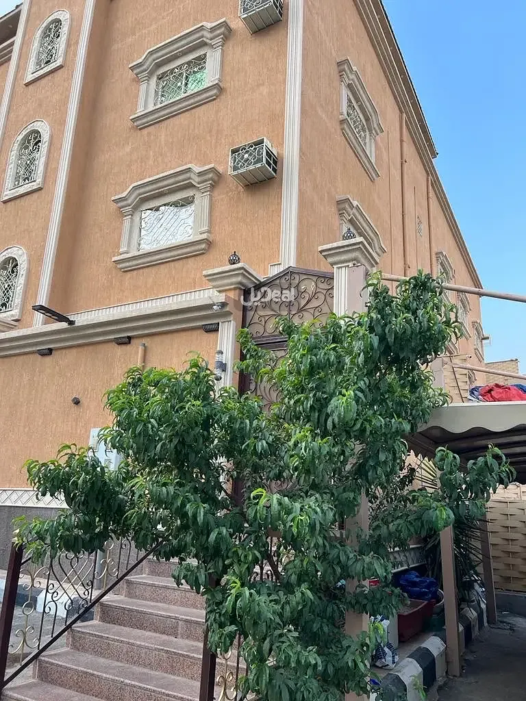 شقة للإيجار