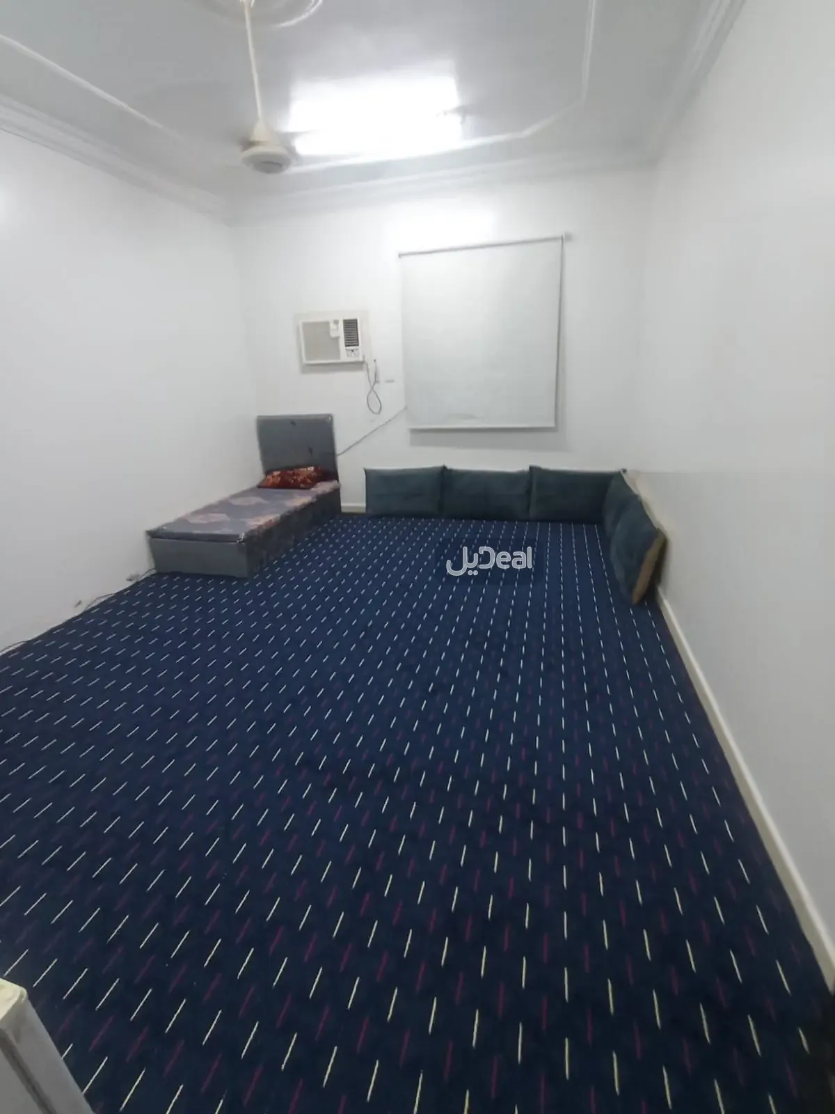 شقة للإيجار