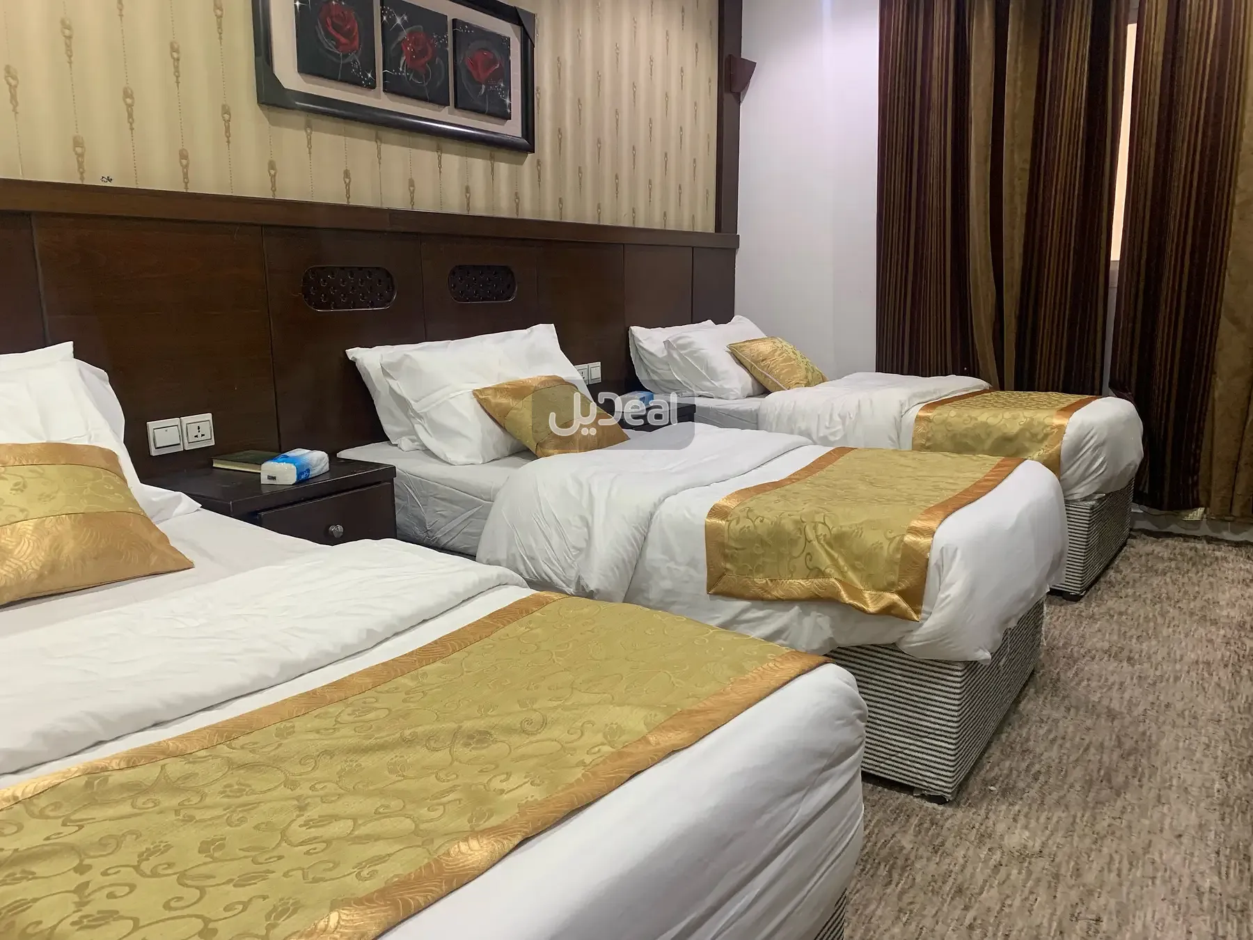 شقة للإيجار