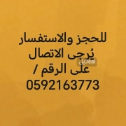 شقة للإيجار