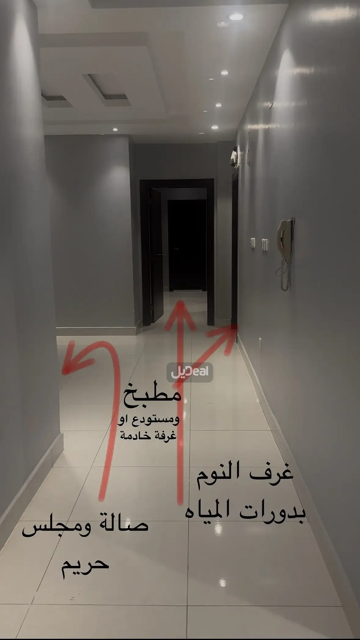 شقة للإيجار