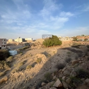 ارض للإيجار