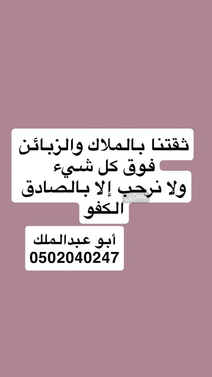 شقة للإيجار