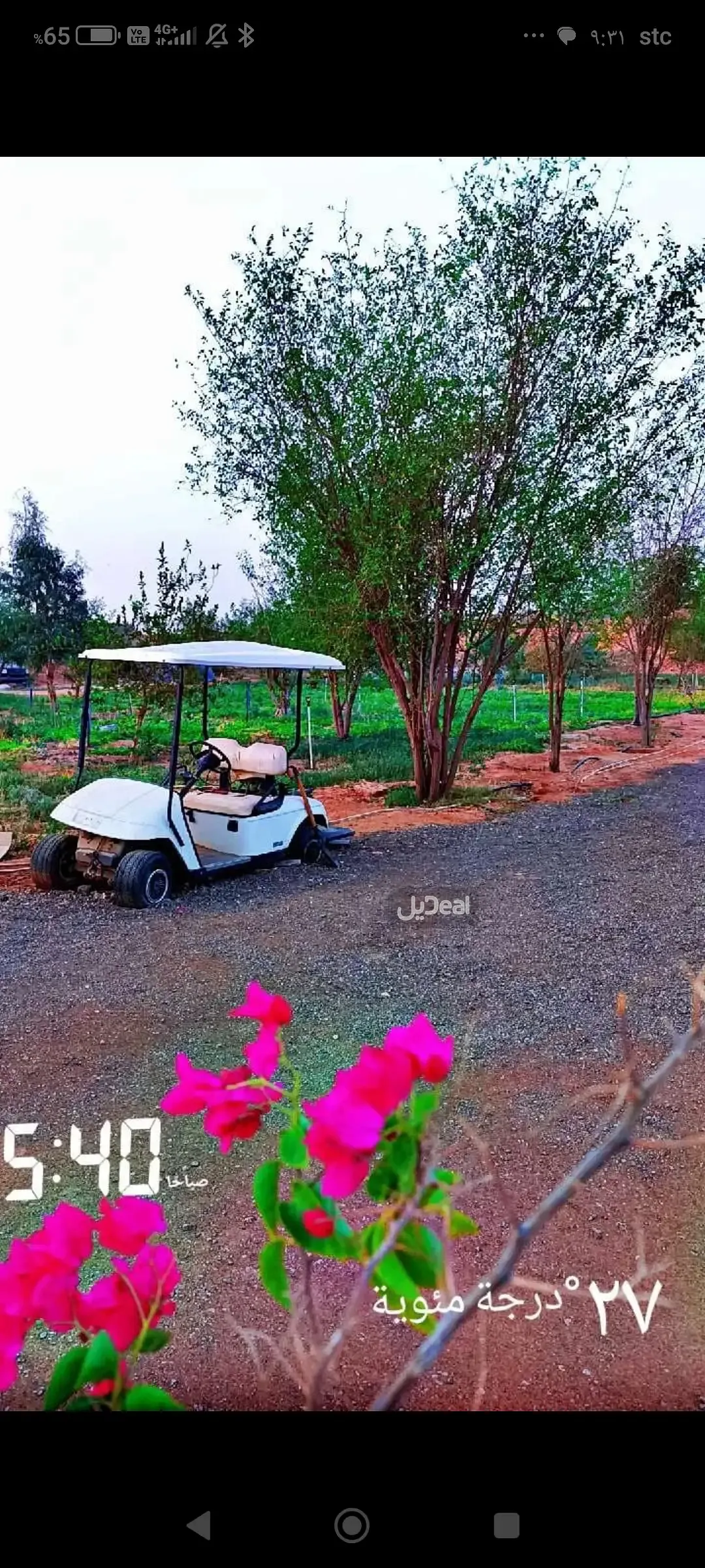 مزرعة للإيجار