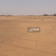 ارض للبيع