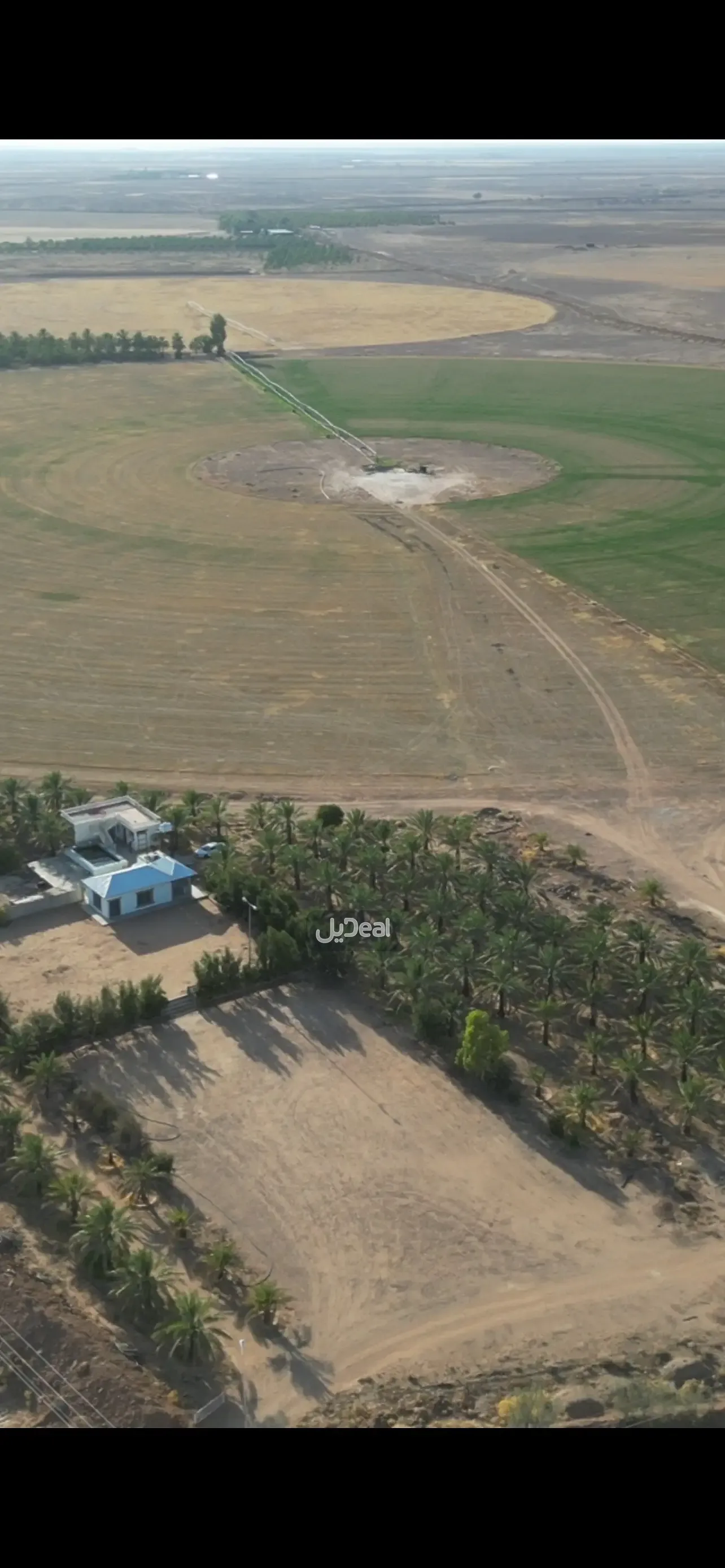 حي  شرق القوارة  مركز القوارة .