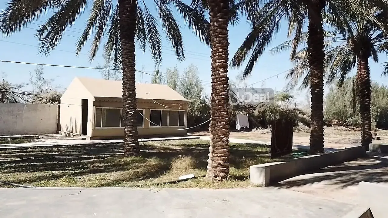 مزرعة للبيع