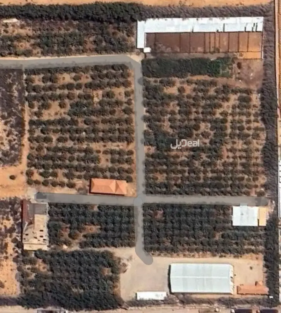 مزرعة للبيع