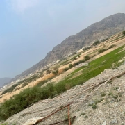 ارض للبيع