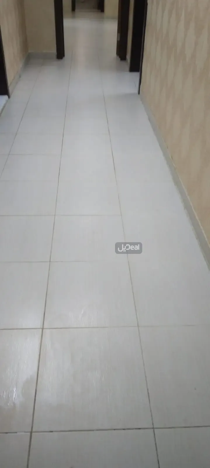 شقة للإيجار