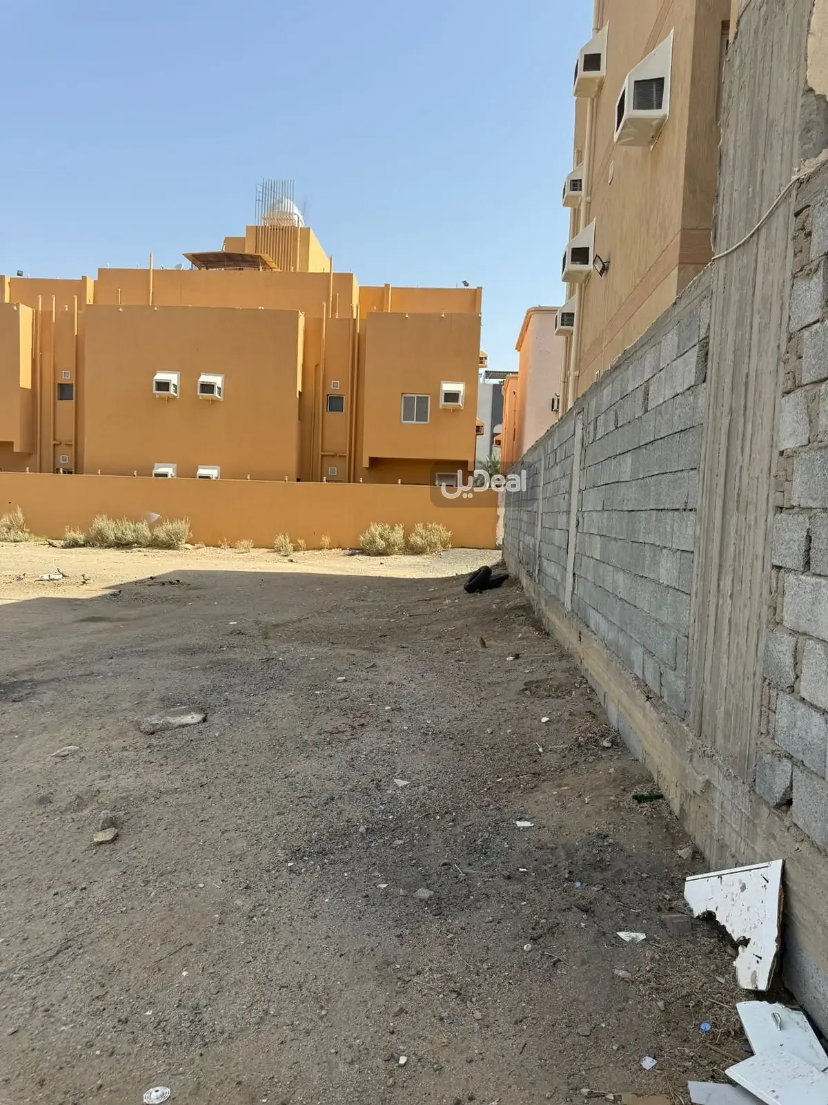 Image 12
