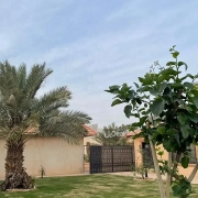 إستراحة للإيجار