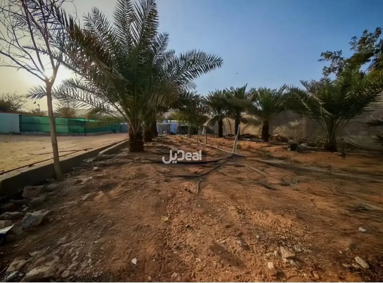 استراحة للإيجار