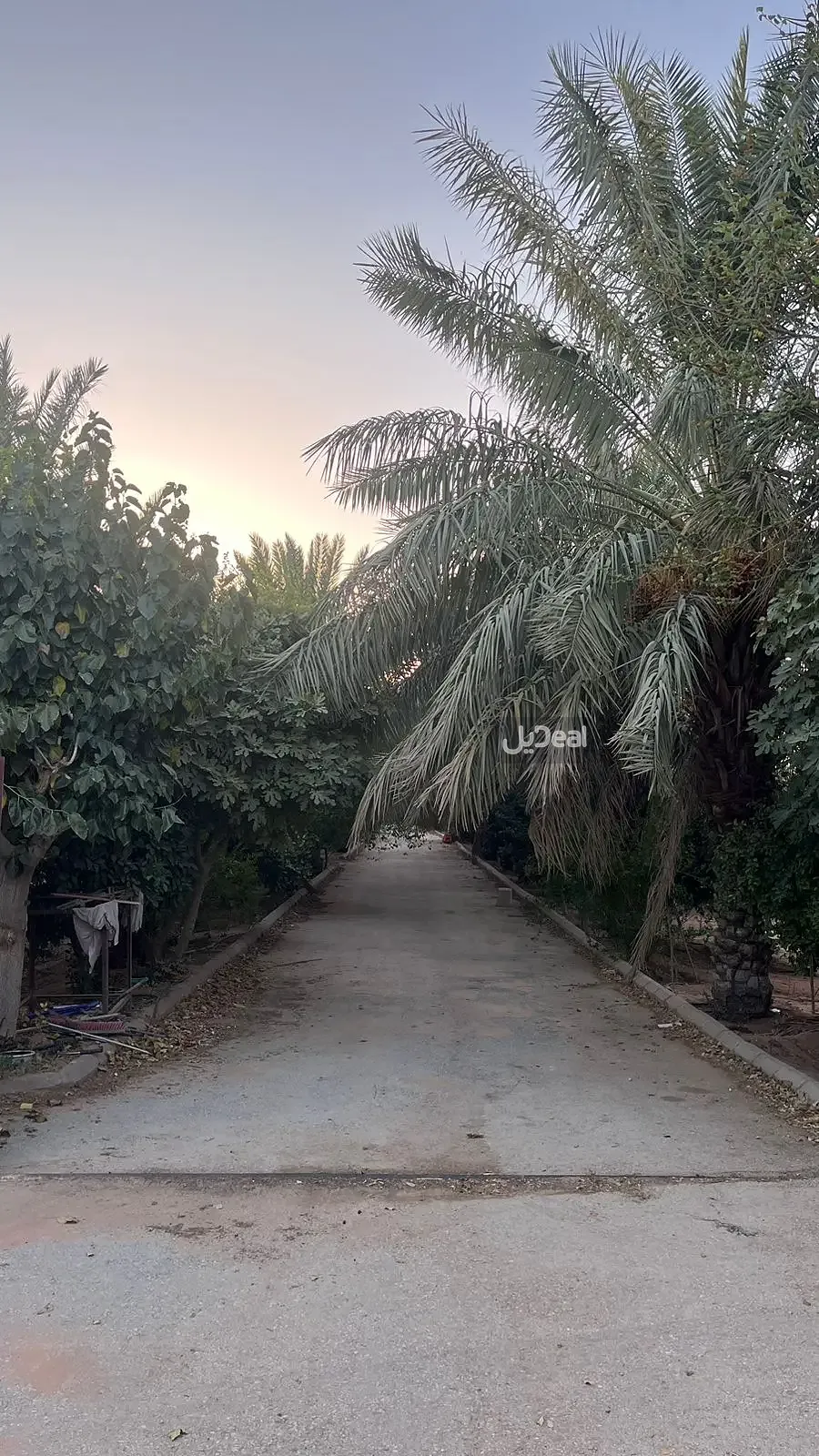 مزرعة للبيع