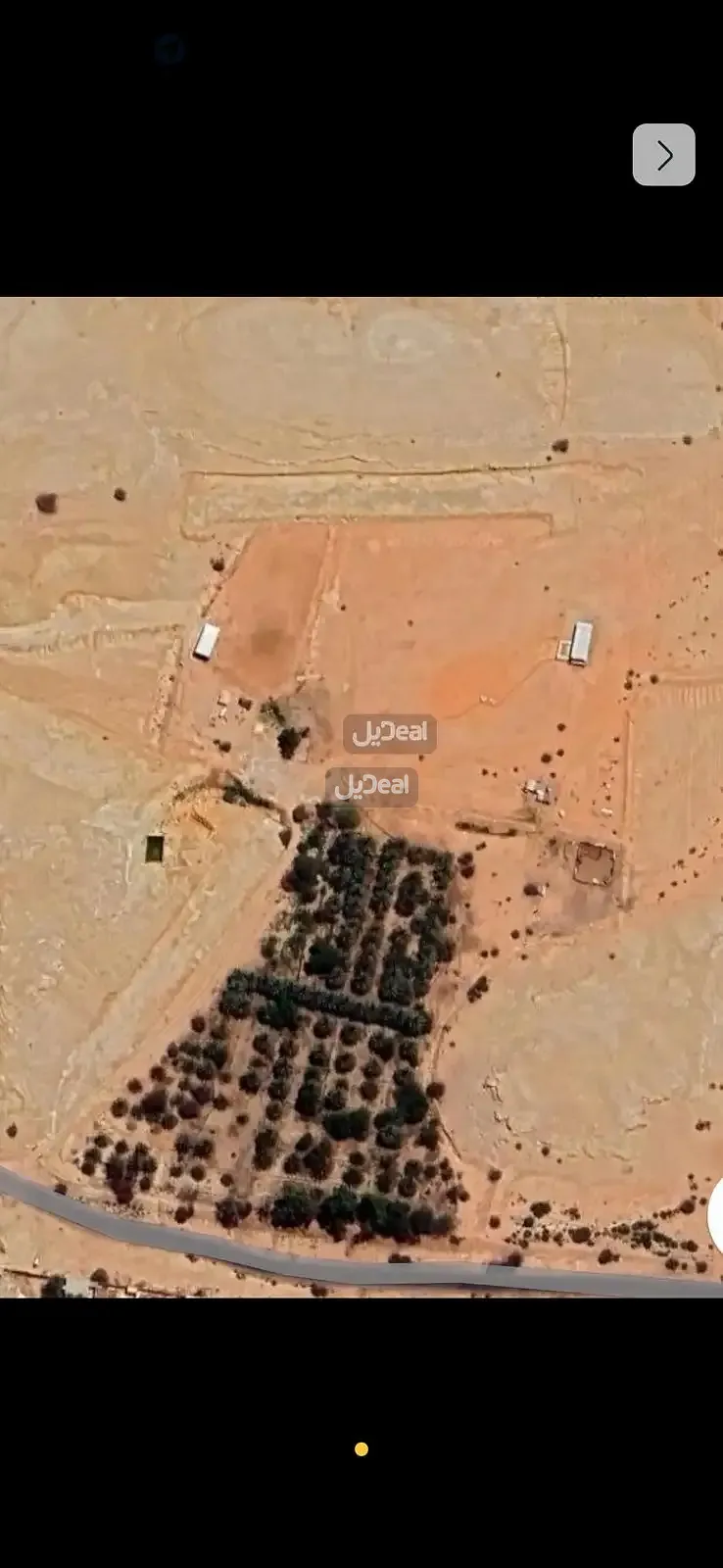 صورة الإعلان