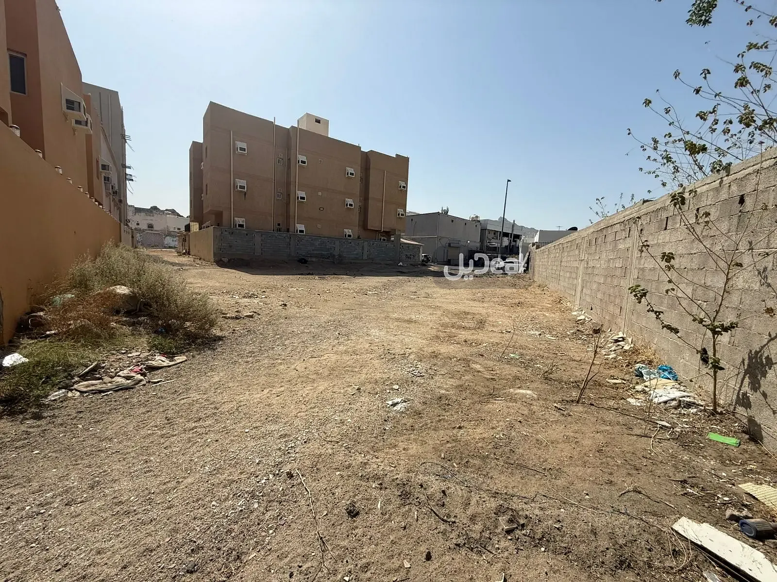 Image 10