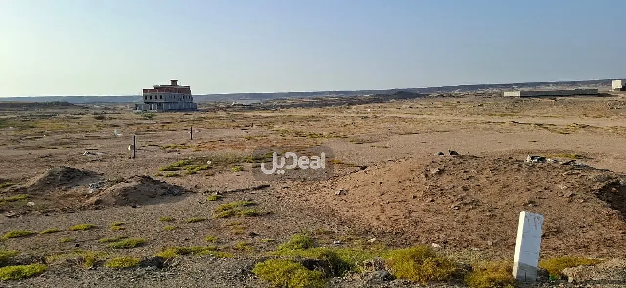 صورة الإعلان