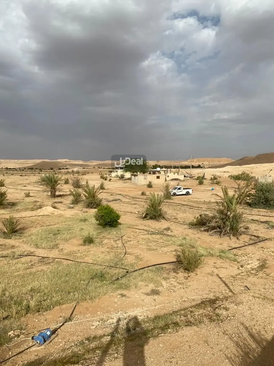 مزرعة للبيع