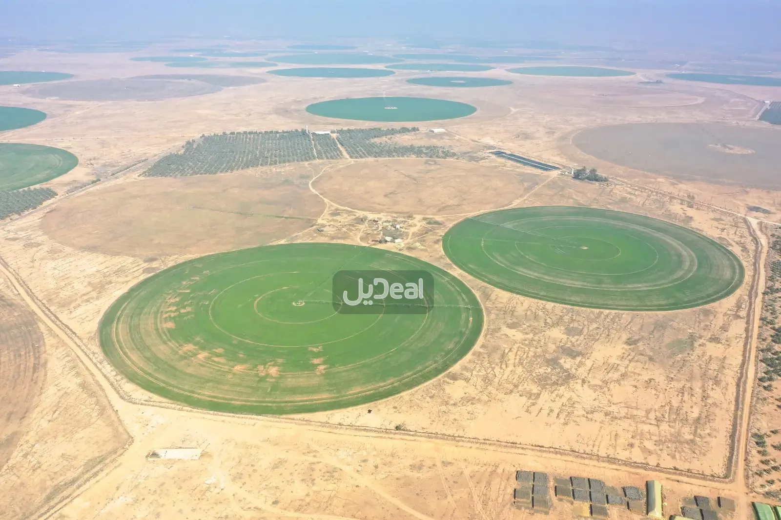مزرعة للبيع