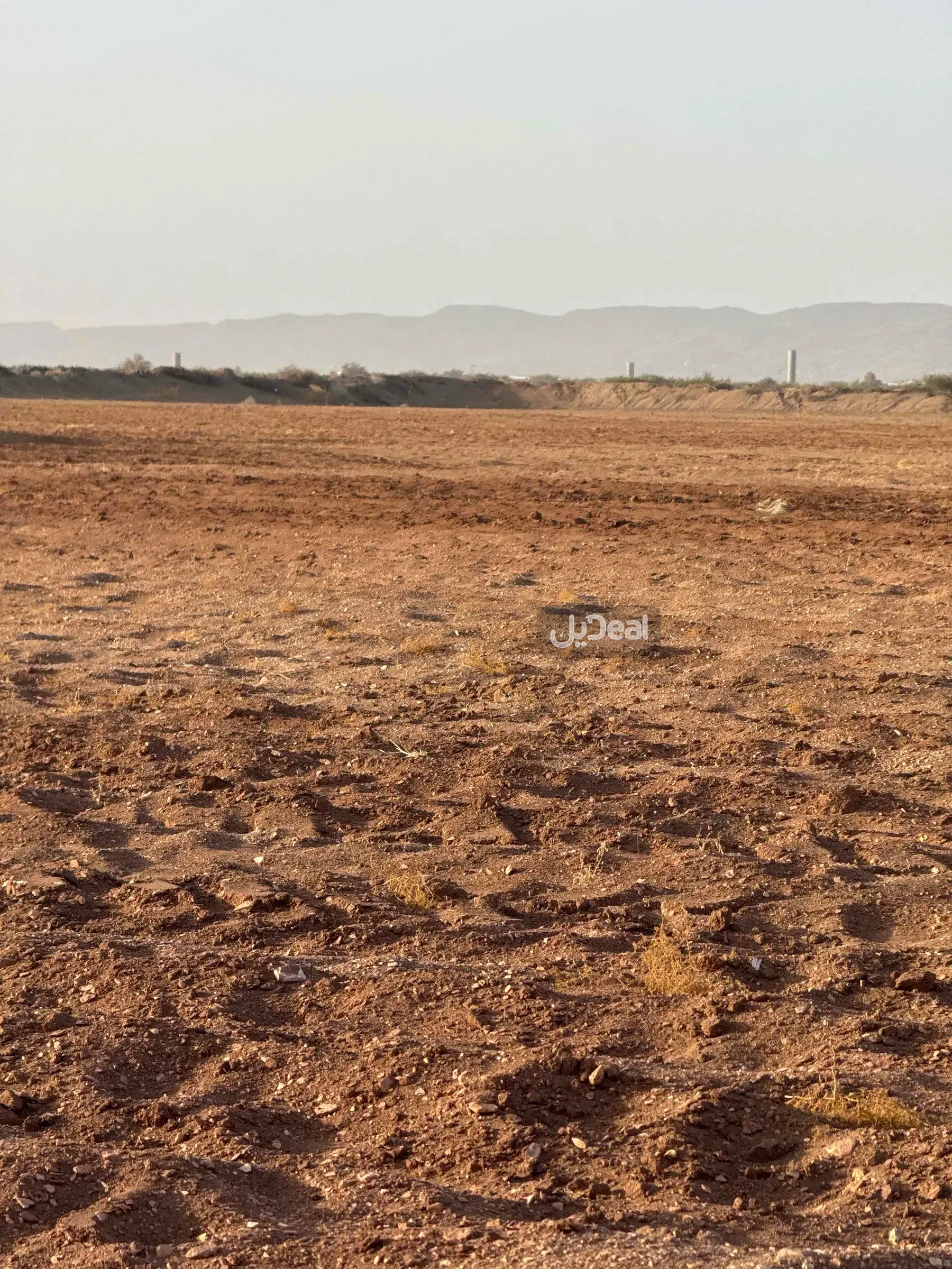 مزرعة للبيع