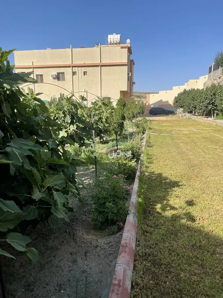 صورة الإعلان