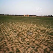 ارض للبيع