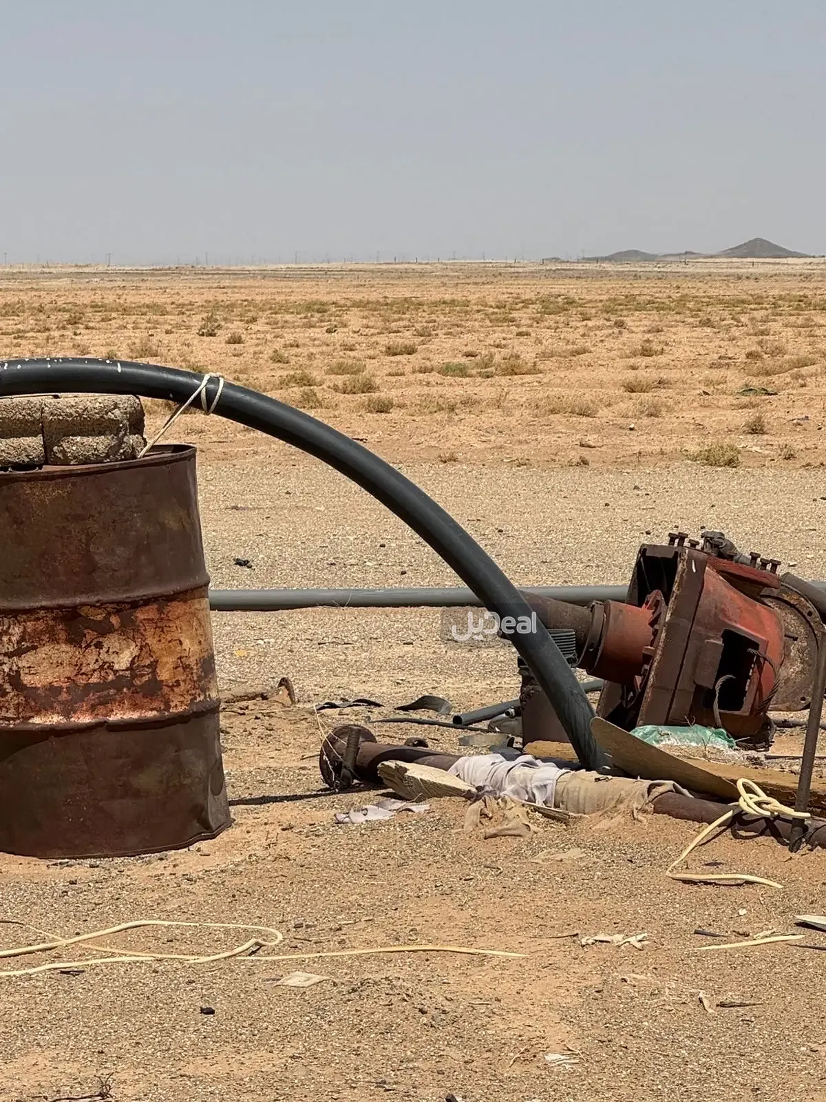 مزرعة للبيع