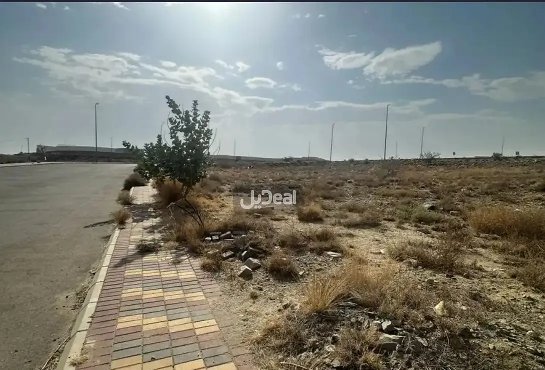 ارض للإيجار