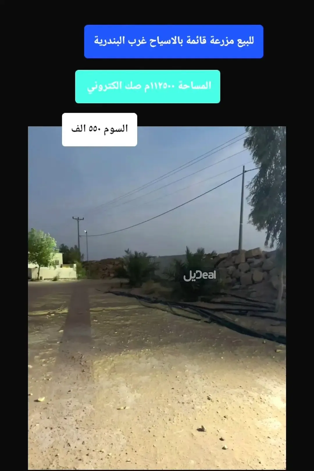 ارض للبيع