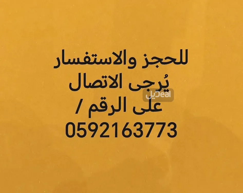 شقة للإيجار