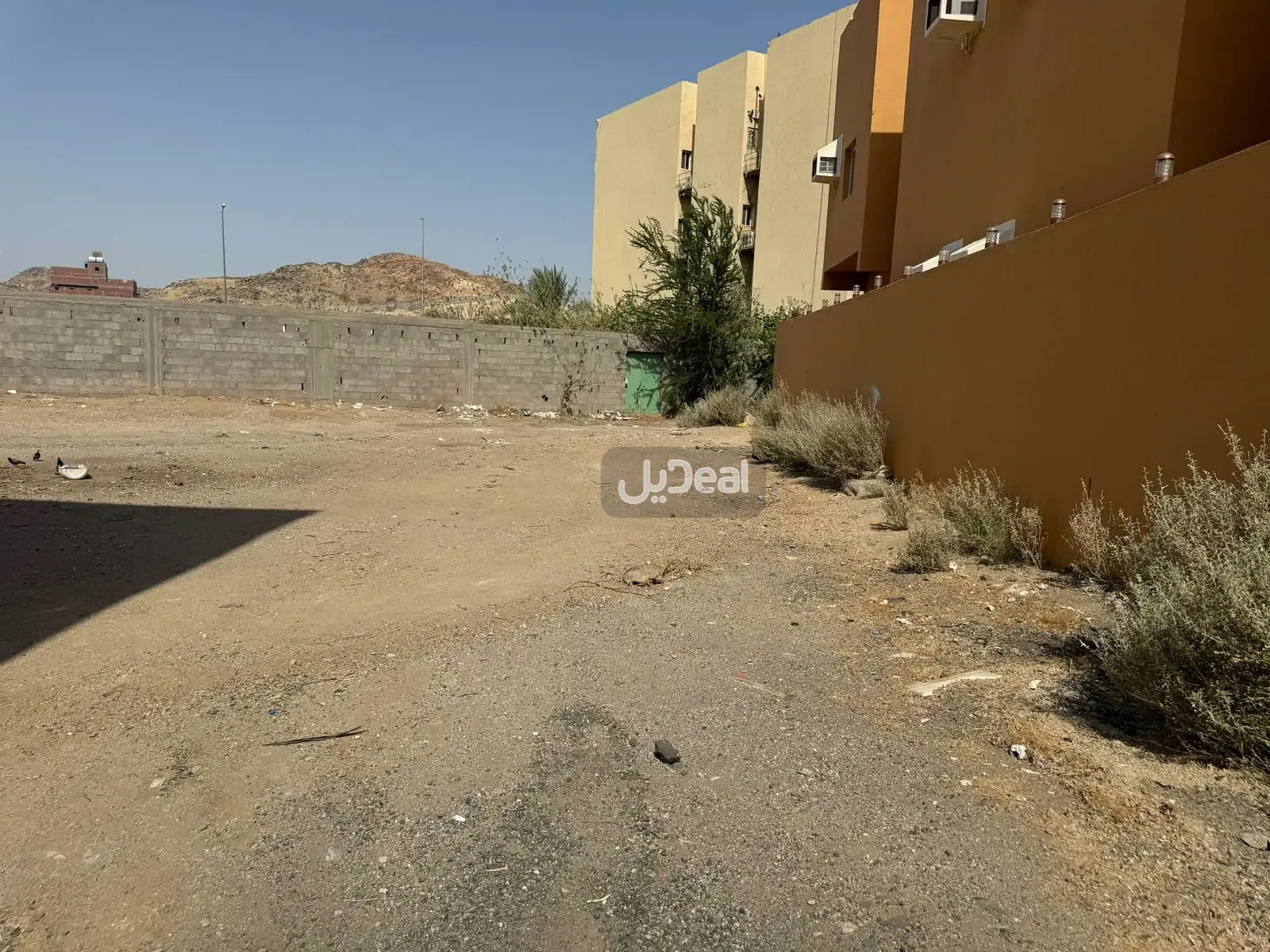 Image 11