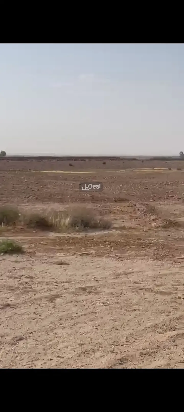 ارض سكنية Rent