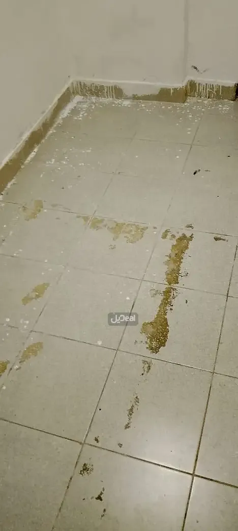 غرفة للإيجار