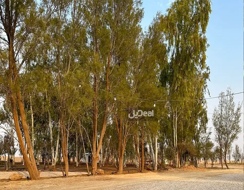 مزرعة للبيع