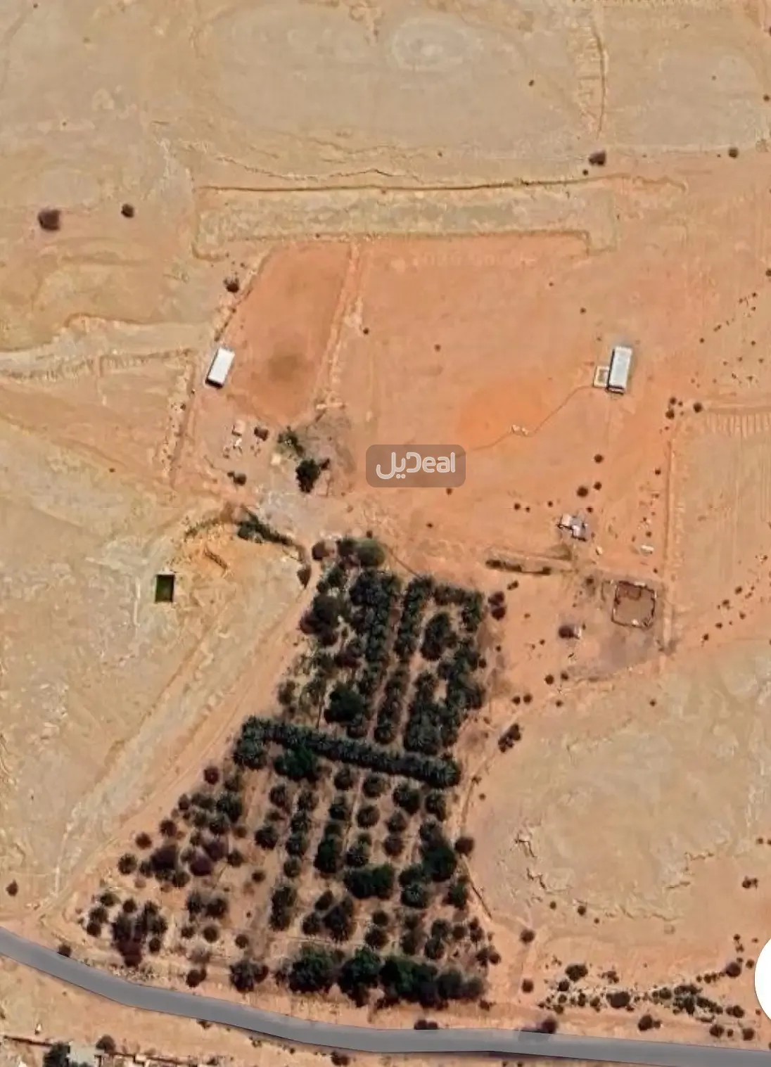 صورة الإعلان