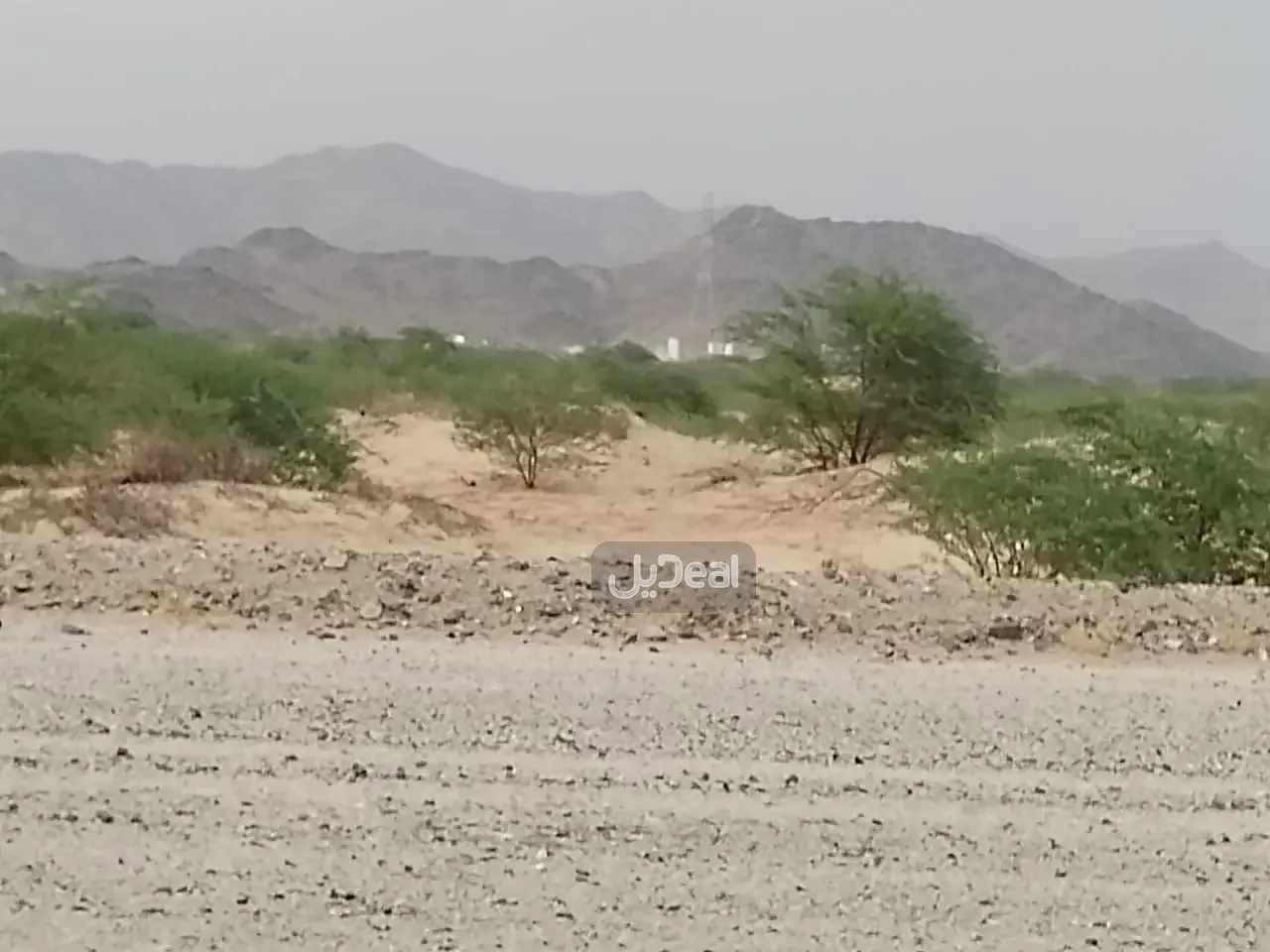 ارض للبيع